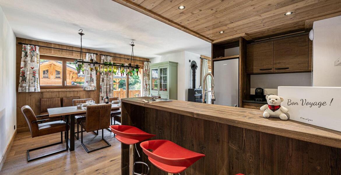 Cozy apartment with a beautiful terrace for rental 