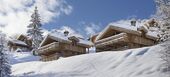 Chalet for rent in Courchevel 1550