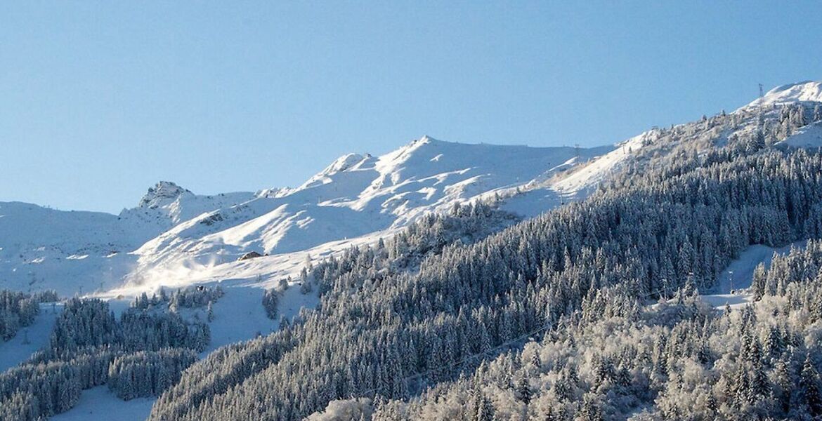 Chalet en alquiler en Méribel