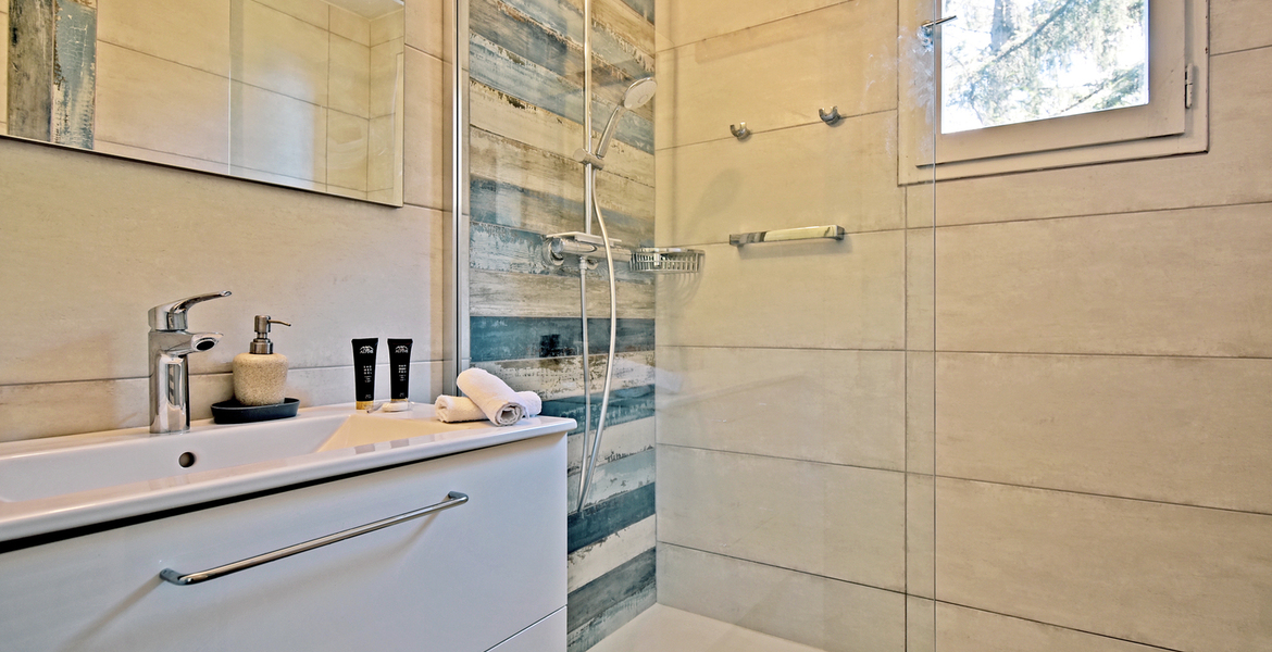 Charming renovated flat ideally located in Morel