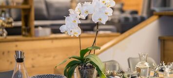 Apartamento en alquiler en Courchevel 1850