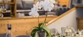 Apartamento en alquiler en Courchevel 1850