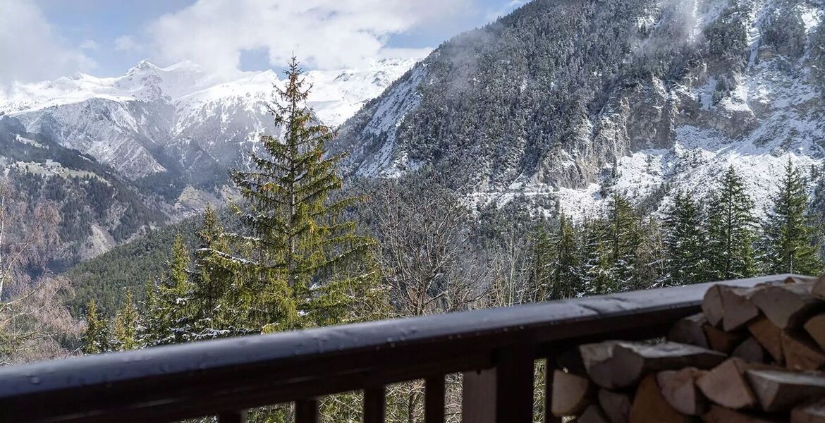 Luxury Mountain View Retreat with Spa and Ski Room