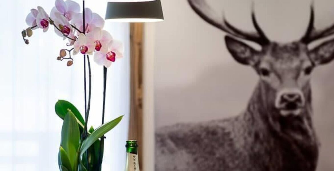 Apartment for rent in Les Gets