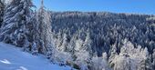 Квартира в аренду в Куршевеле Морионд
