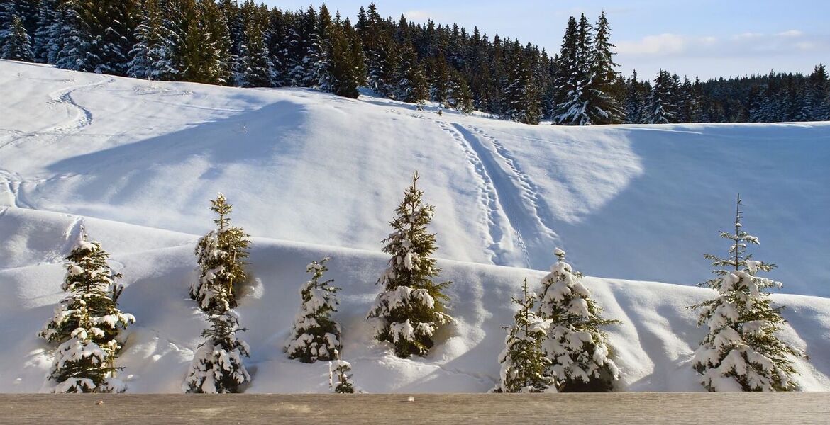 Apartment for rent in Courchevel 1650