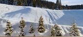 Apartment for rent in Courchevel 1650