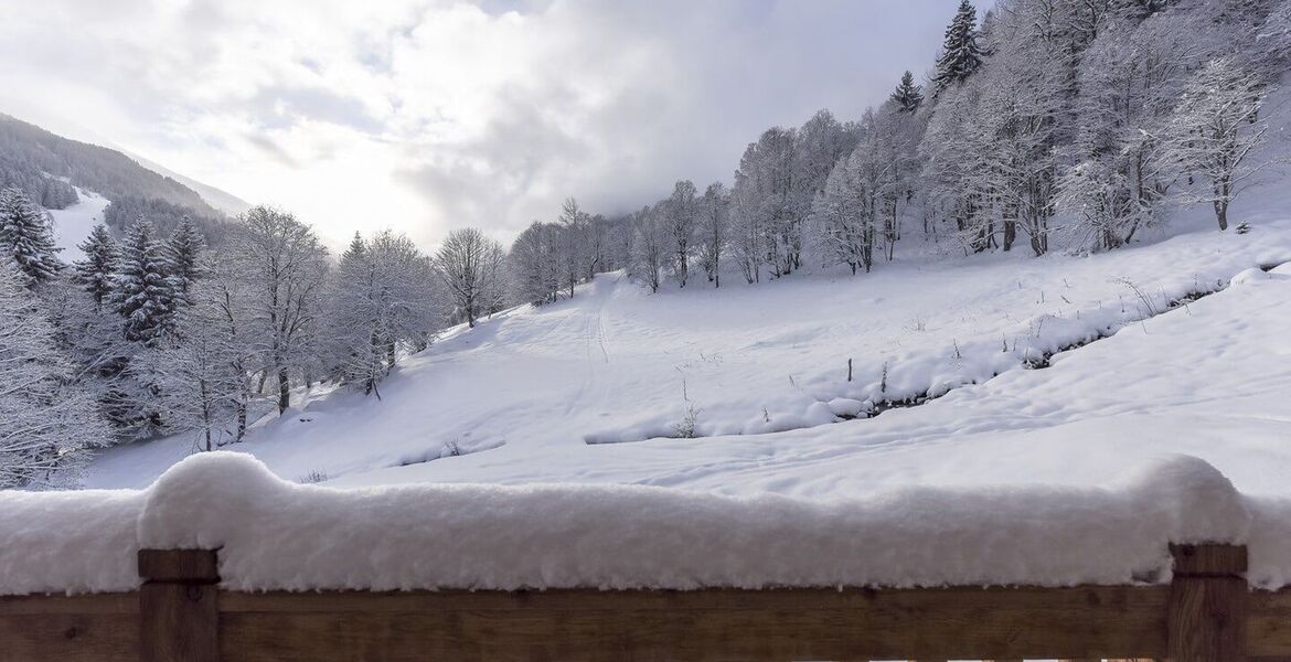  Luxury Ski-In/Ski-Out Chalet Rentals in Méribel 